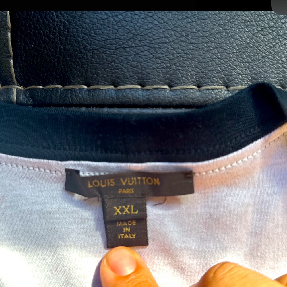 Louis Vuitton dress